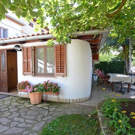 Apartment Amedea Kanfanar Kültér fotó