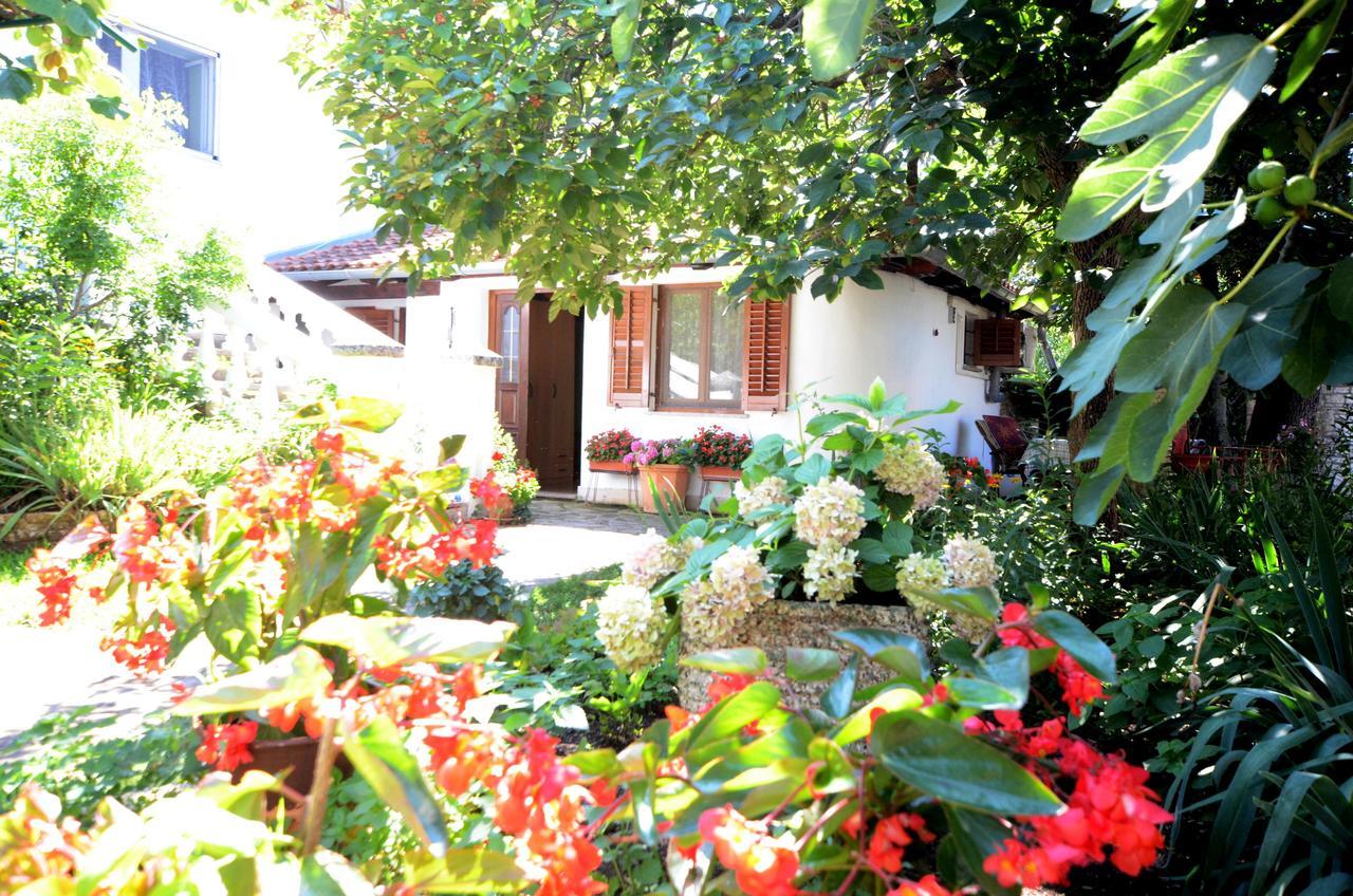 Apartment Amedea Kanfanar Kültér fotó